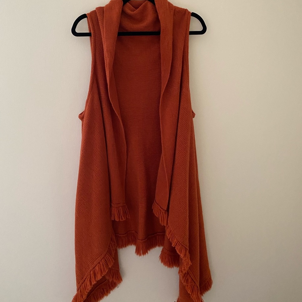 Burnt Orange Sweater Vest